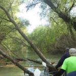 Kanal Crasnicol Donaudelta 2019