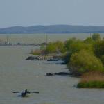 Lacul Razim Sarichoi Donau 2019