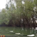 Manfred im Donaudelta 2019