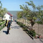 Quartier in Sarichoi Donau 2019