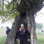 Ruebezahl im Baum Donau 2019