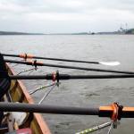 Seeschifffahrt auf der Donau 2019