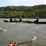 Vierer im ruppigen Wasser Donau 2019