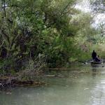 wir kommen immer durch Donaudelta 2019