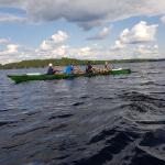 Saimaa auf dem Saimaa 2019