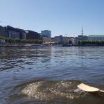 Ruderboot Aussenalster 2019
