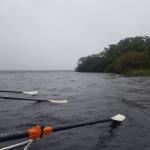 Insel Windschutz Lough Ree Irland 2019