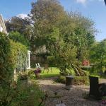 Quartier in Castleconnell Irland 2019