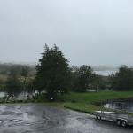 Silver Eel Strokestown Irland 2019