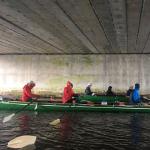 unterstellen vor dem naechsten Regenguss Irland 2019