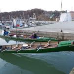 Aussetzen im Fischereihafen Po 2019