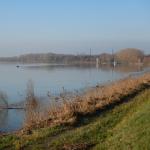 Landschaft am Po 2019