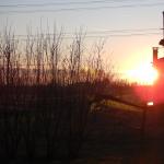 Sonnenuntergang Ca Vendramin Po 2019