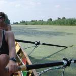 Entengruetze so weit das Auge reicht P09