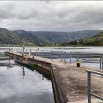 Boote vor Moselschleuse 2019