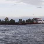 Kohlefrachter Niederrhein 2019