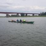 Ruderboote Rhenen Nederrijn 2019