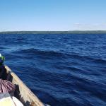 Til und der ruppige See 2019