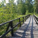 Weg zum Ferienhaus 2019