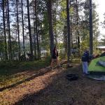 Zelte aufbauen im Wald 2019