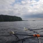 es wird gefaehrlich gross 2019