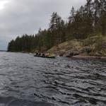 letzter Windschutz vor der offenen Flaeche 2019