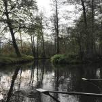 Ruderboot im Spreewald 2019