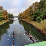 Baumgarten E-Vierer mit Steuermann 2020