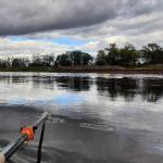 Gierfaehre Elbe 2020