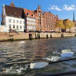 Lübeck downtown ruderboote 2020