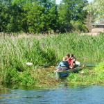 Verkrautung Moegelin P2020