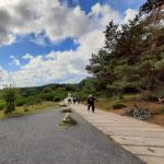 Aufstieg zum Leuchtturm von Hiddensee 2020