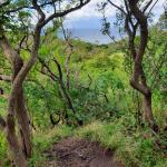 Ostseeblick Hiddensee 2020