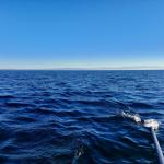 Alpen über dem Bodensee Silvester 2021