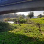 Aussetzstelle Marxheim Donau 2021