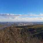 Aussicht Kahlenberg Donau 2021