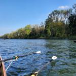 Donau bei Ulm 2021
