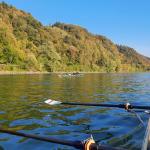 Donau hinter Passau 2021