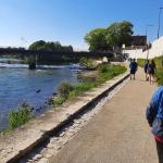 Donauwörth Stromschnelle Donau 2021