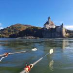 Klippen in der Donau 2021