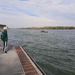 Wien Donauhort Steg Donau 2021