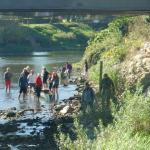 oberhalb der Stromschnelle von Donauwörth 2021