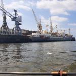 Hamburger Hafenrundfahrt mit dem Ruderboot 2021