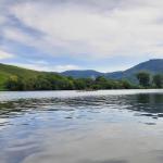 Ruderboote auf der Mosel 2021