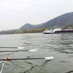 Schiffsverkehr auf dem Rhein 2021