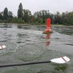 Tonne in der Strömung Rhein 2021