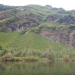 Wein und Felsen Mosel 2021