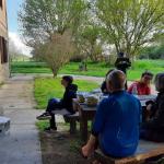 Donau 2022 Quartier mit Ruderern