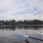 Faehre Mohacs Donau 2022