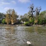 Quartier in Mohacs direkt am Wasser Donau 2022